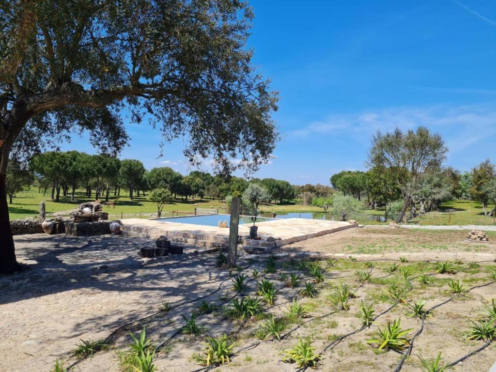 ein Schwimmbad in einem Park mit einem Baum in der Unterkunft Kochab Crato Alentejo in Crato