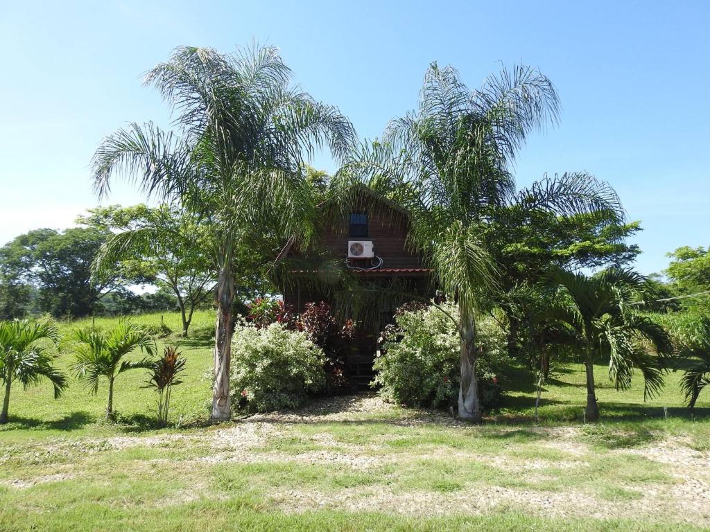 a house in a field with palm trees at Pilgrims Paradise Cabin 2 in San Ignacio