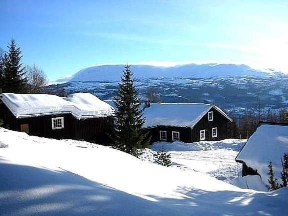 een huis in de sneeuw met besneeuwde daken bij Hjartdal Fjellstoge & Storhytte in Hjartdal
