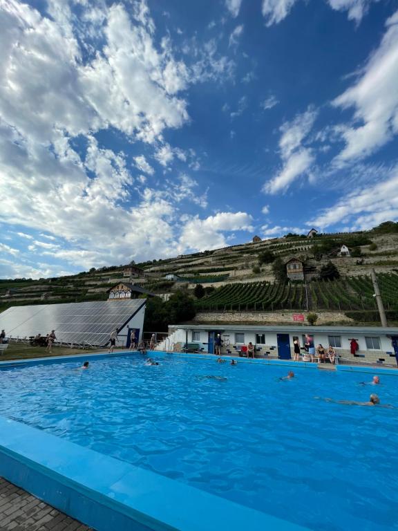 a large swimming pool in front of a building at Ferienhaus Traminer im Weinberg in Freyburg