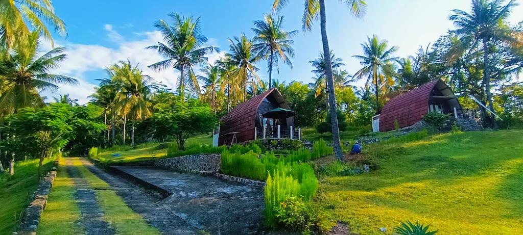 a house on a grassy hill with palm trees at Villa Pintu Bintang in Pawenang