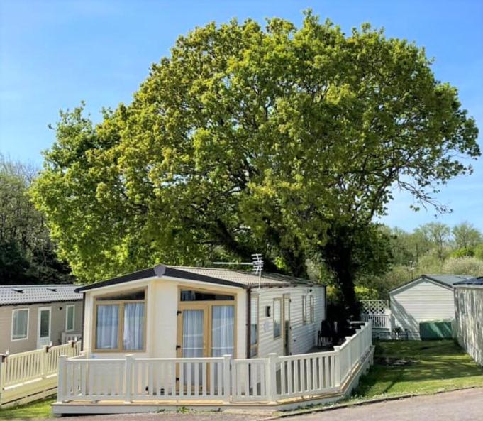 a small house with a white fence in front of a tree at Sea Breeze a beautiful 3 bedroom coastal caravan in Milford on Sea