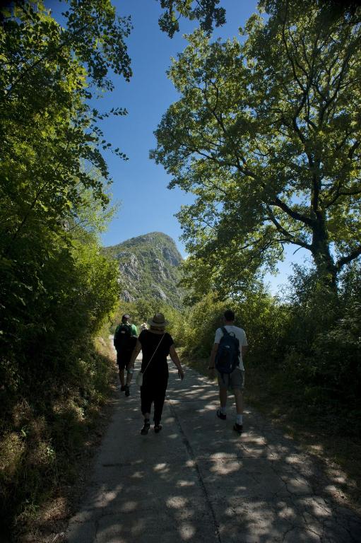 Paesaggio naturale nelle vicinanze del bed & breakfast