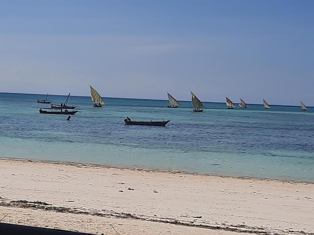 a group of boats in the water on a beach at AMESbungalows in Nungwi