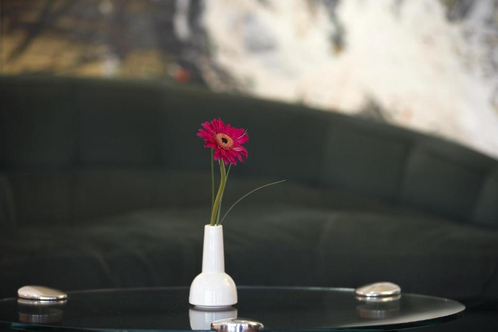 Fotografie z fotogalerie ubytování IntercityHotel Freiburg ve Freiburgu