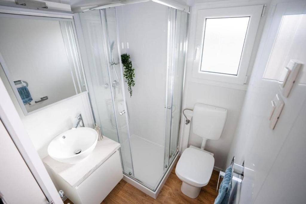 a bathroom with a shower and a sink and a toilet at Eliška Holiday Home in Biograd na Moru