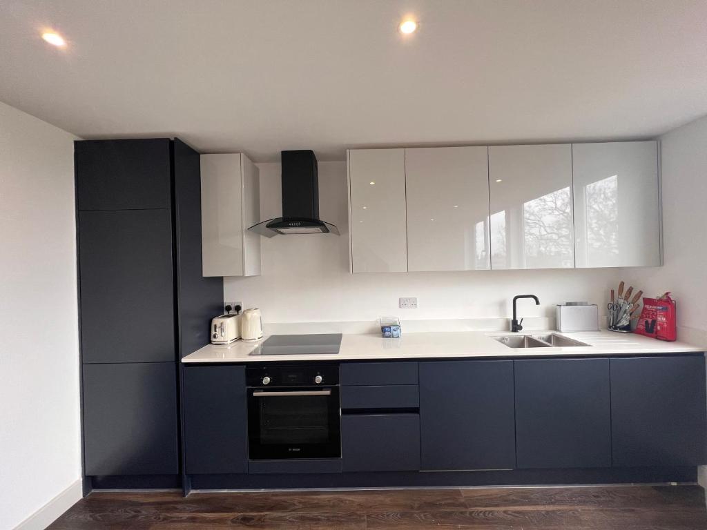 a kitchen with blue cabinets and a sink at Star London Finchley Road 3-Bed Abode in London