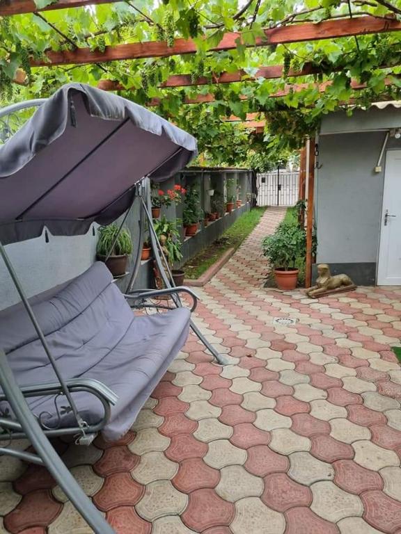 a chair sitting on a patio with an umbrella at Vila Madalina in Eforie Sud