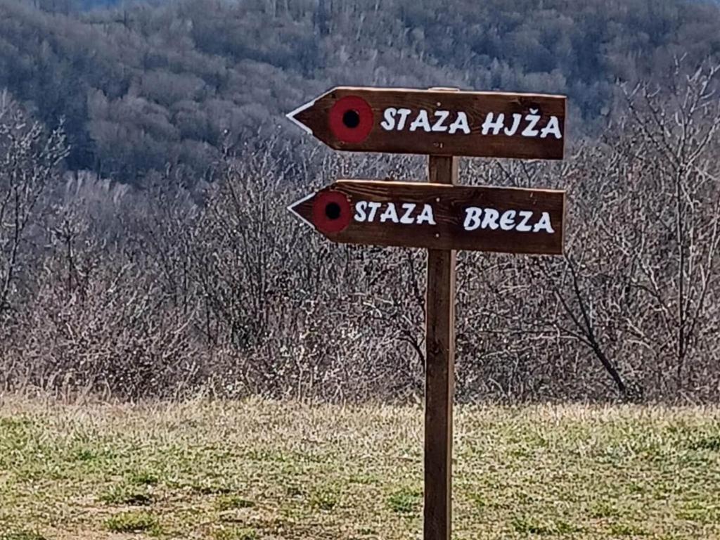Príroda v okolí horskej chaty