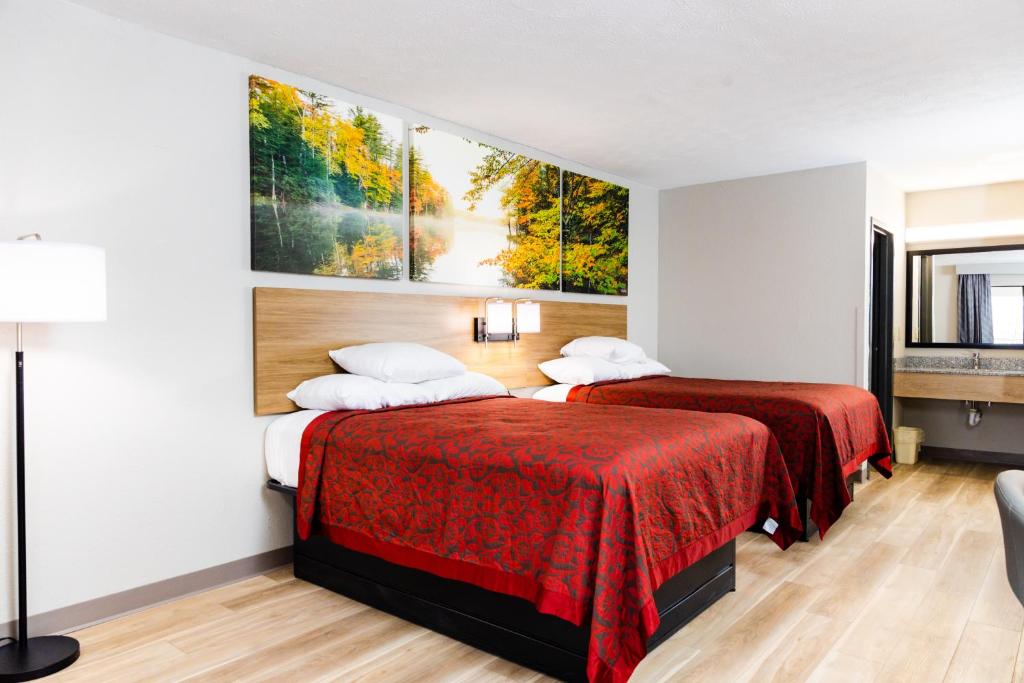 Days Inn by Wyndham Cincinnati East - 现代双房间 - 机动性可访问/不吸烟