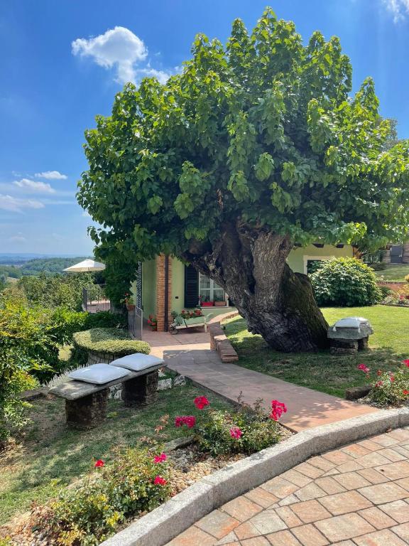 A garden outside B&B La Bianchina