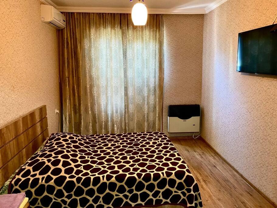 een slaapkamer met een groot bed en een televisie bij Apartment in Kutaisi Agmashenebeli in Koetaisi