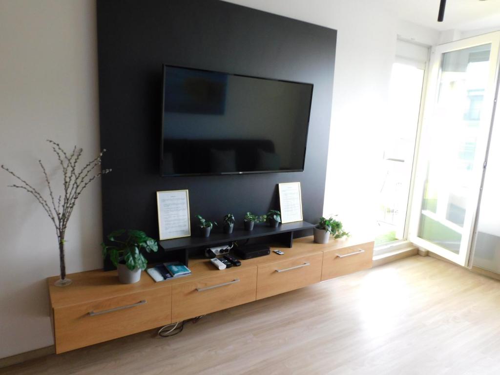 TV a/nebo společenská místnost v ubytování Chill & Relax Apartment