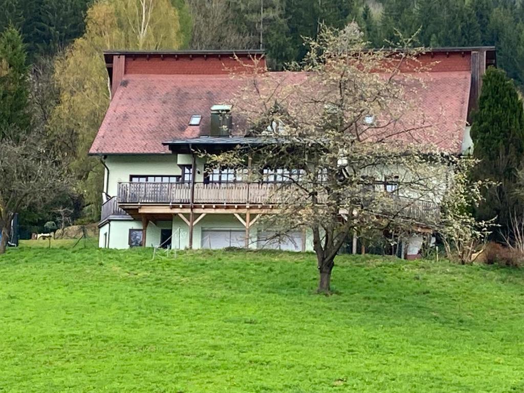 duży dom z tarasem na zielonym polu w obiekcie MiLo16 w mieście Großlobming