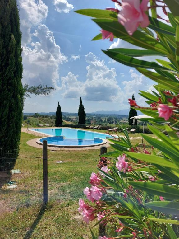 a swimming pool in a garden with pink flowers at Agriturismo Corte in Poggio in Stabbia