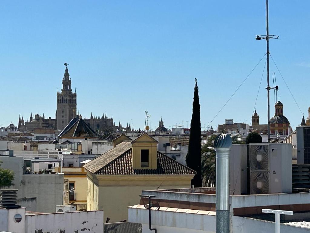 HISPALIS SETAS DE SEVILLA, Siviglia – Prezzi aggiornati per ...