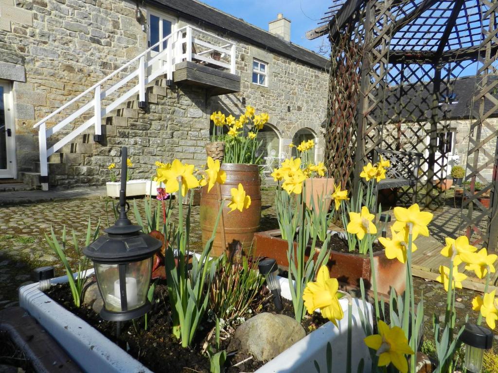 a garden of flowers in front of a building at Falstone Barns in Falstone