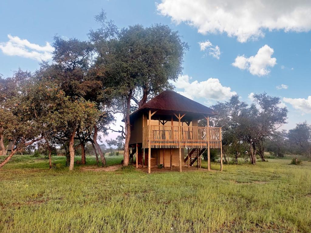 a large wooden house in a field with trees at Chobe Hideaway 