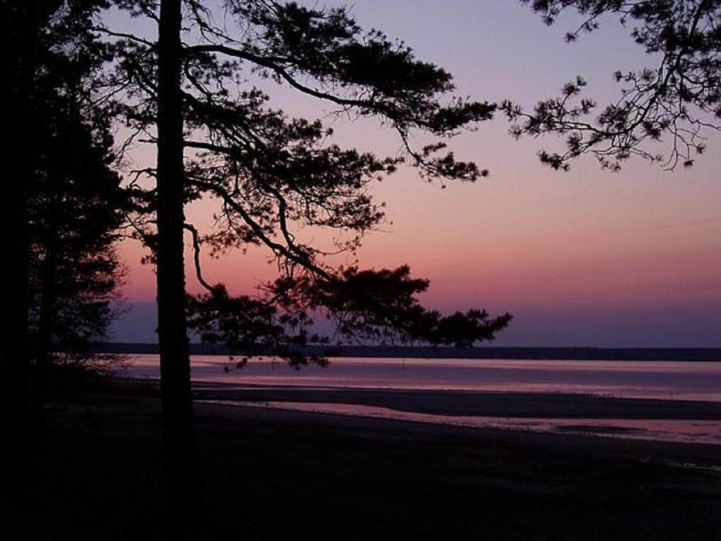 una puesta de sol sobre una playa con árboles en primer plano en Hiirevända Holiday House, en Võsu