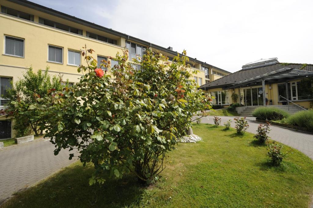 Zahrada ubytování Hotel Godewind