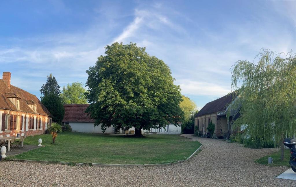 a tree in a yard next to a building at Grange Rousselin in Bachivillers