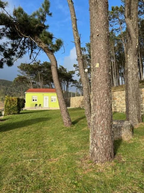 Vonkajšia záhrada v ubytovaní Apartamento Playa de Lires