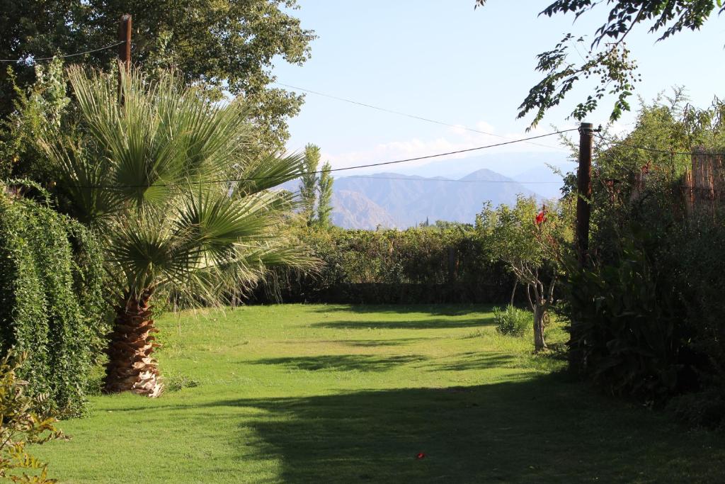 un jardin avec un palmier dans l'herbe dans l'établissement Cabaña Anjana, à Ullún