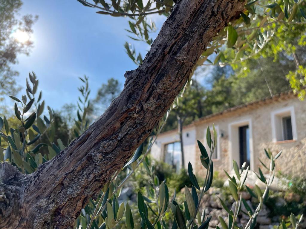 Eva's Cabanon - Casa De 1 Quarto