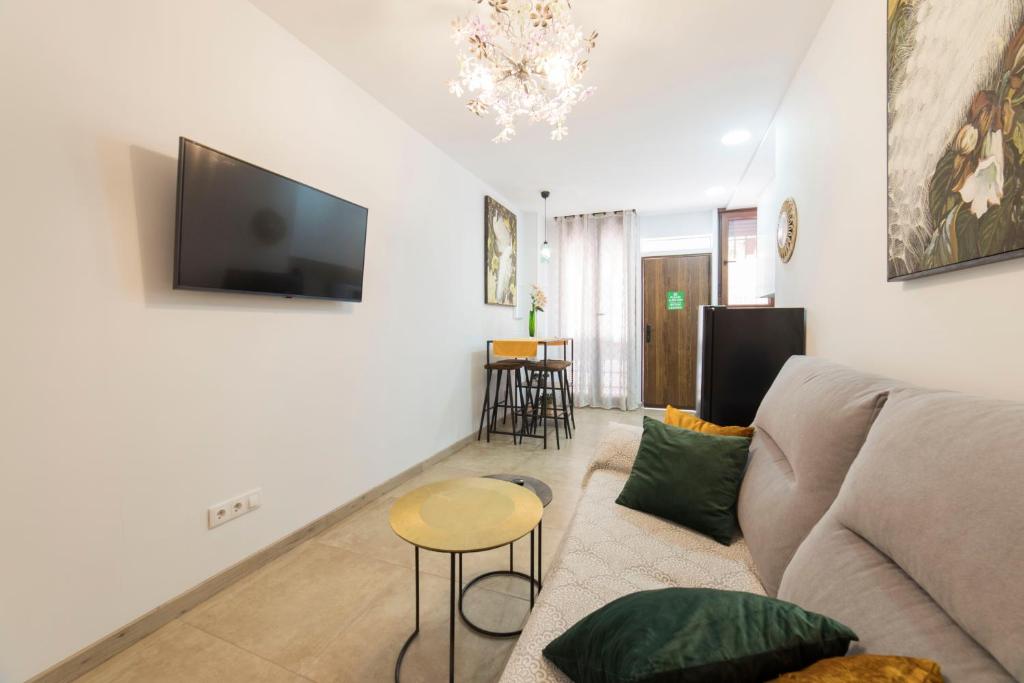 Televízia a/alebo spoločenská miestnosť v ubytovaní Precioso Loft El Arcángel II junto a la Ribera