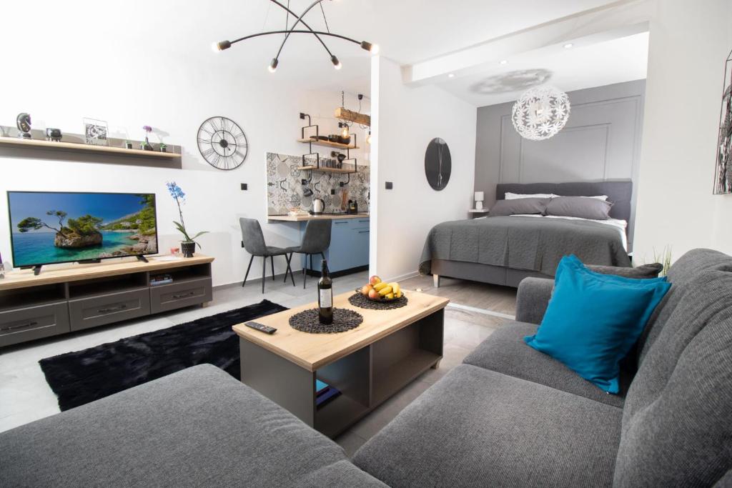 salon z kanapą i telewizorem w obiekcie Studio apartman Orhideja w mieście Vinkovci