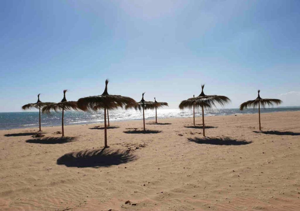 un gruppo di ombrelloni di paglia su una spiaggia di Studio Raoued plage a Raoued