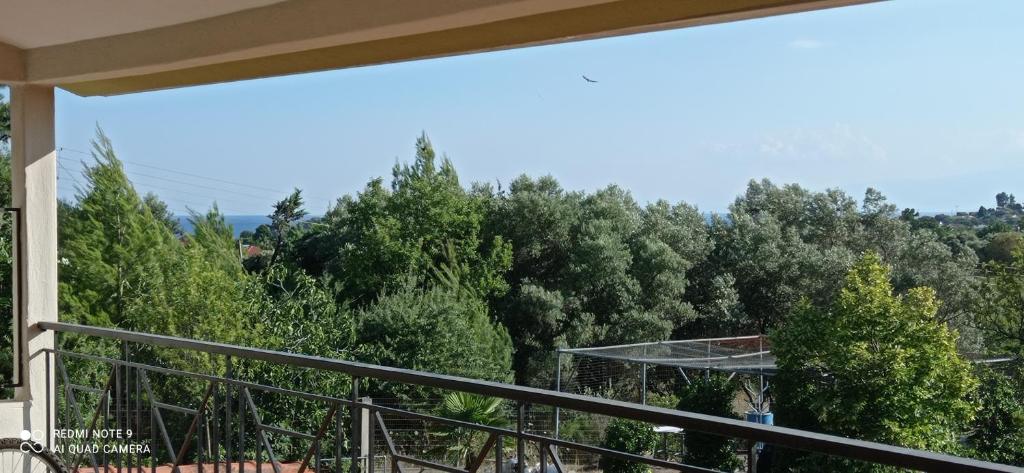 Balkón nebo terasa v ubytování Casa Soare