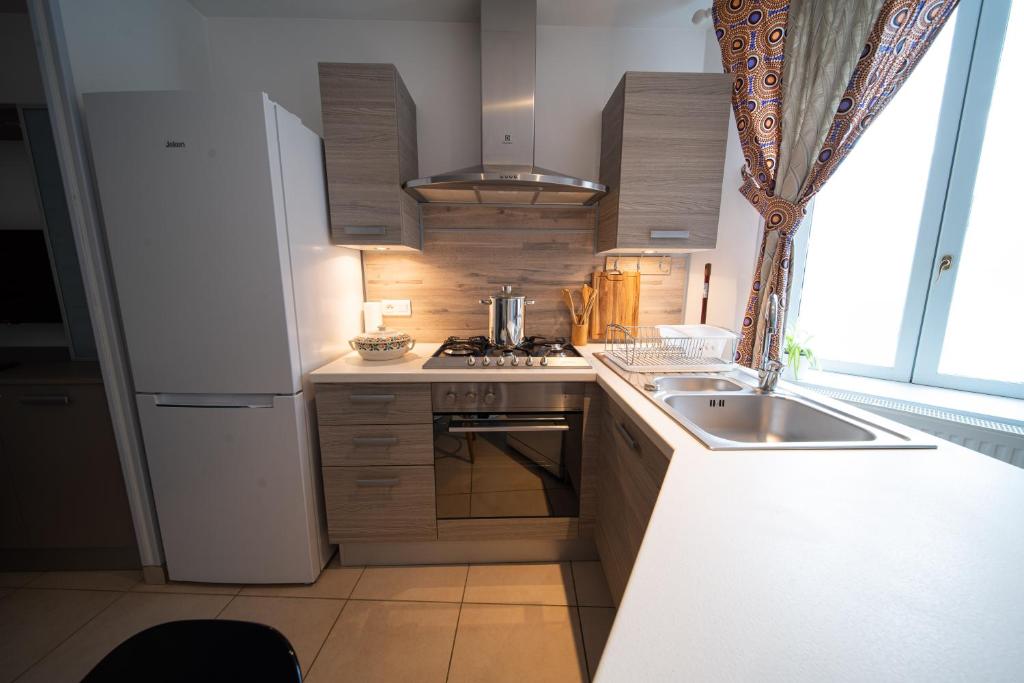 Kuchnia lub aneks kuchenny w obiekcie Appartement haut de gamme Centre ville