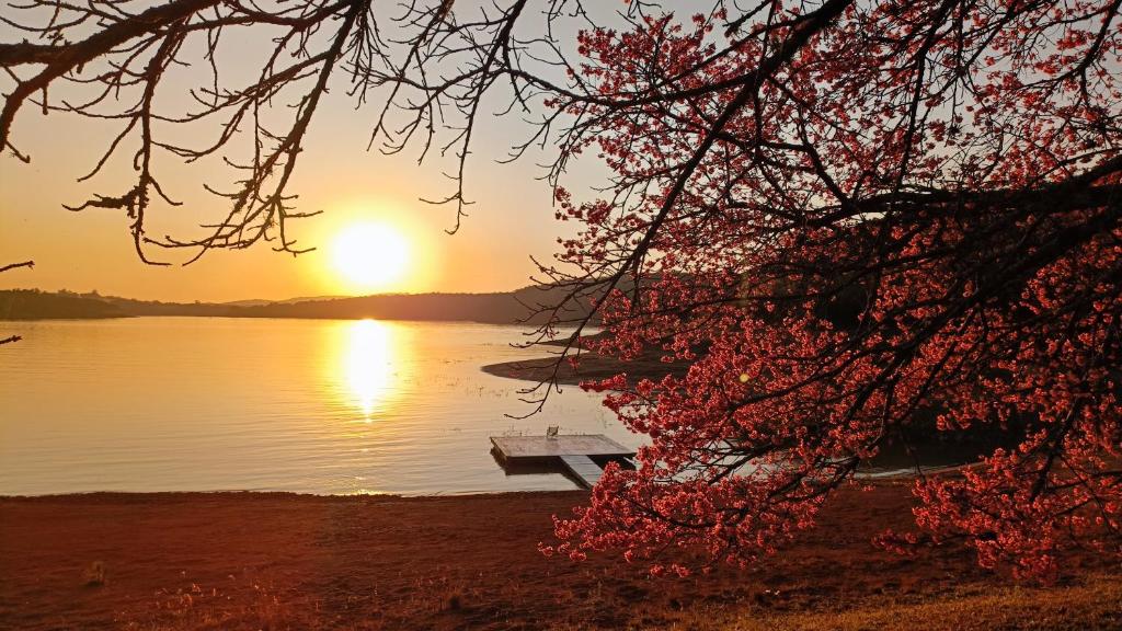 a bench on the shore of a lake at sunset at Casa de Campo em Ibiúna de frente para represa in Ibiúna