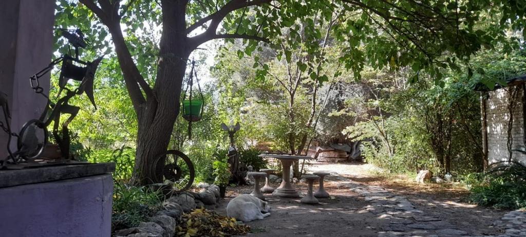 un jardin avec une table et un arbre dans l'établissement Casa alma verde, à Luyaba