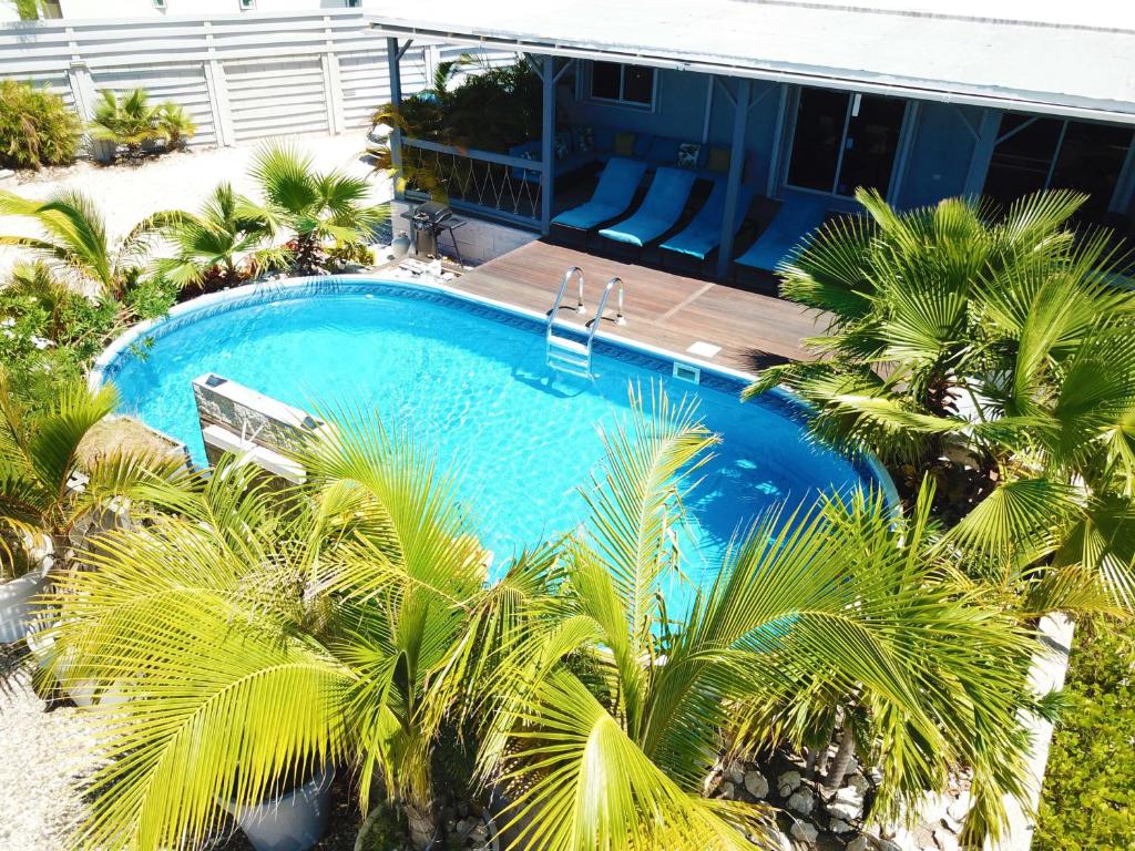 an overhead view of a swimming pool with palm trees at Turquoise Villa in Paradijs