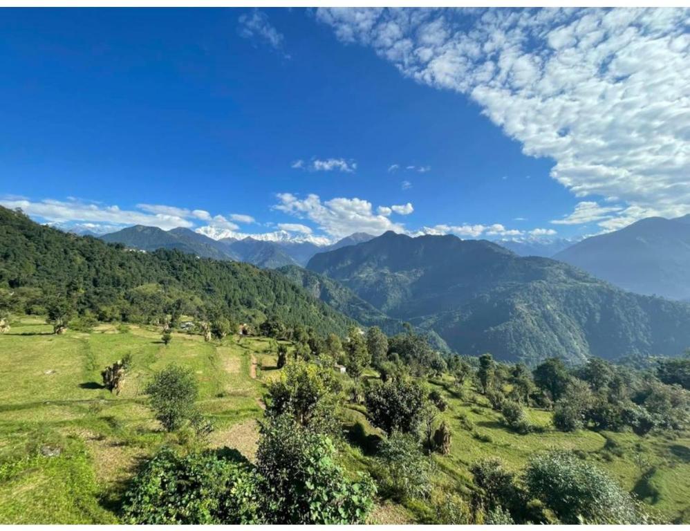 Hotel Raibaar Resort, Guptkashi, Ukhimath (updated prices 2024)