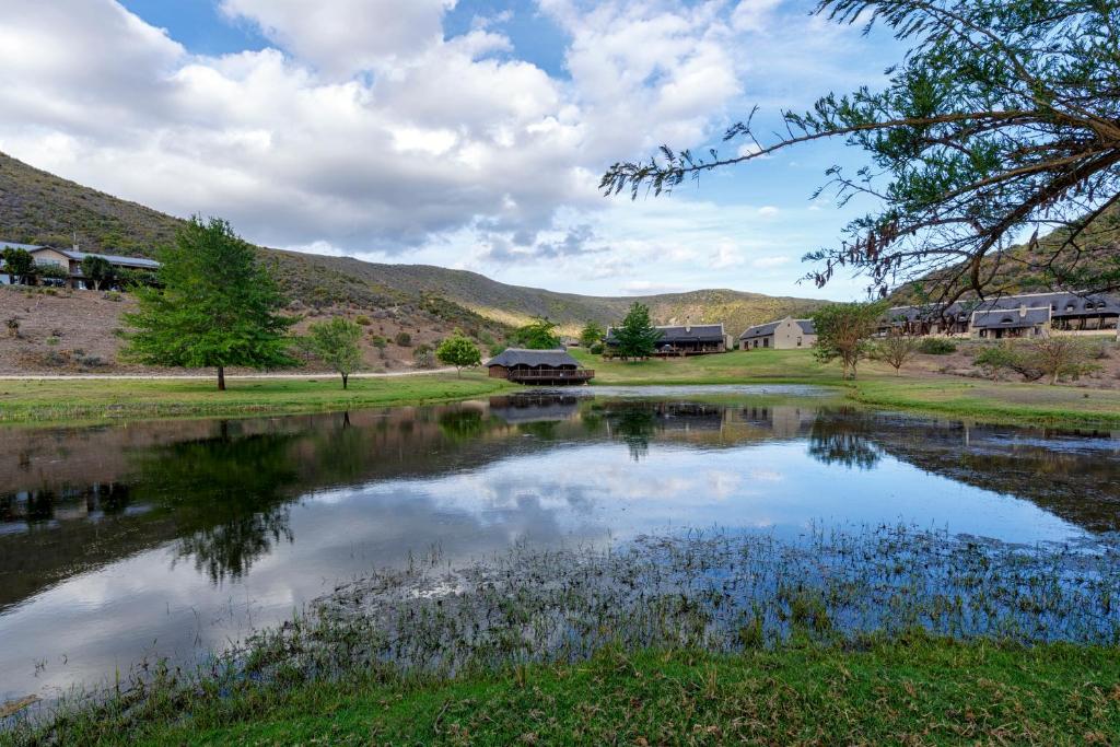 einen Teich auf einem Feld mit Bergen im Hintergrund in der Unterkunft Rooiberg Lodge in Van Wyksdorp