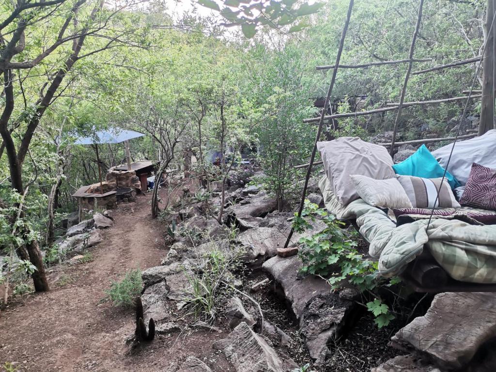 Příroda nedaleko luxury tent