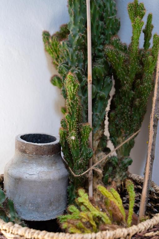 Hotel Mom Assisi - Resim 19