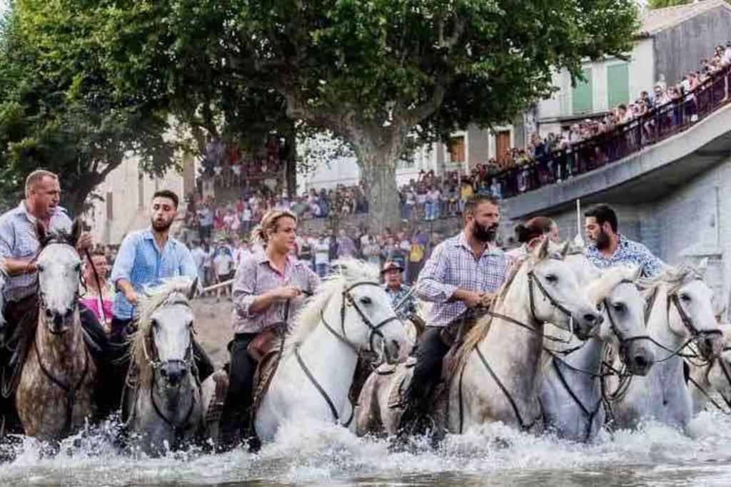 un grupo de personas montando caballos a través del agua en Appartement dans un domaine Viticole, en Fontanès