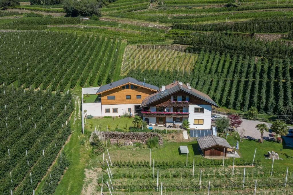 una vista aérea de una casa en un viñedo en Pixnerhof - Ferienwohnung Gala, en Ciardes