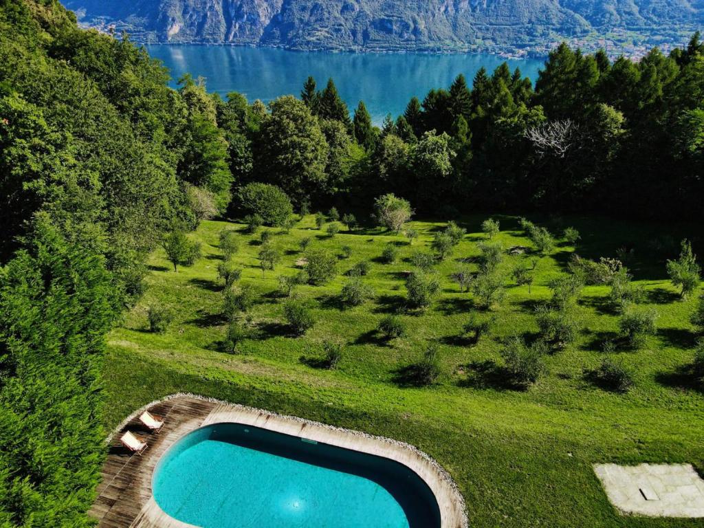 - une vue sur la piscine située dans un champ avec un lac dans l'établissement Tenuta Valle degli Ulivi by Wonderful Italy, à Bellagio