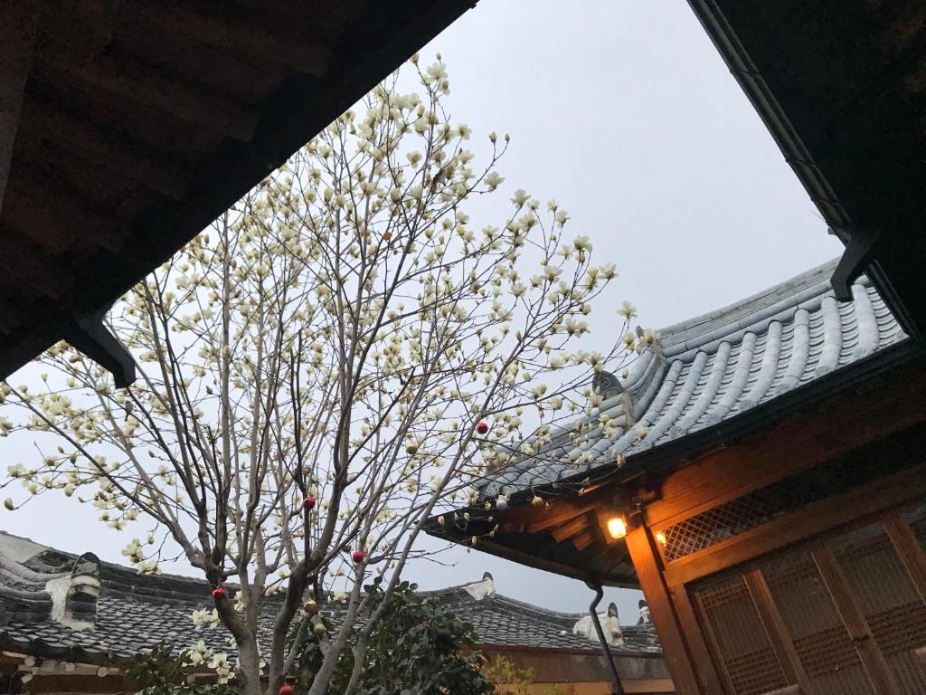 Foto sihtkohas Jeonju asuva majutusasutuse Sarangroo galeriist