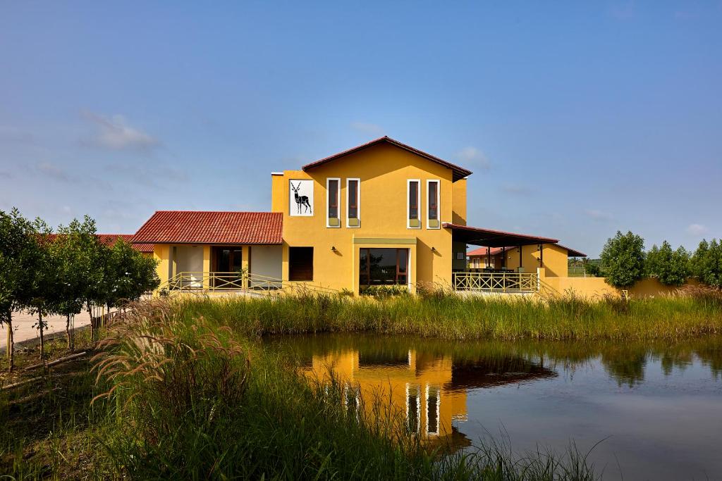 een geel huis naast een waterlichaam bij Blackbuck Safari Lodge Velavadar in Velavadar