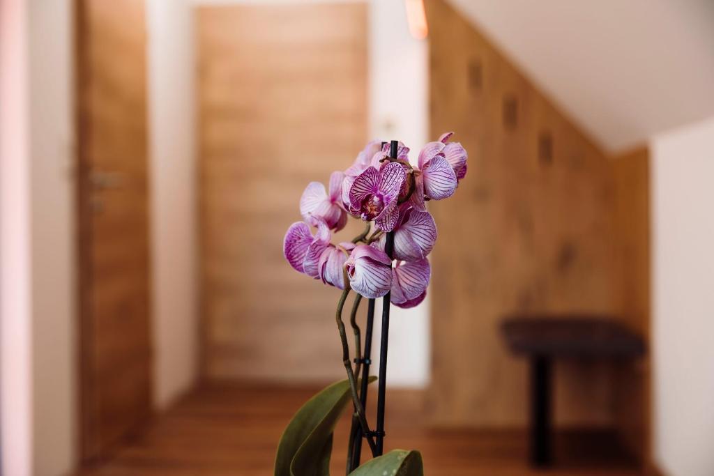 Fotografie z fotogalerie ubytování KOASA HOF Bed and Breakfast v destinaci Oberhaag