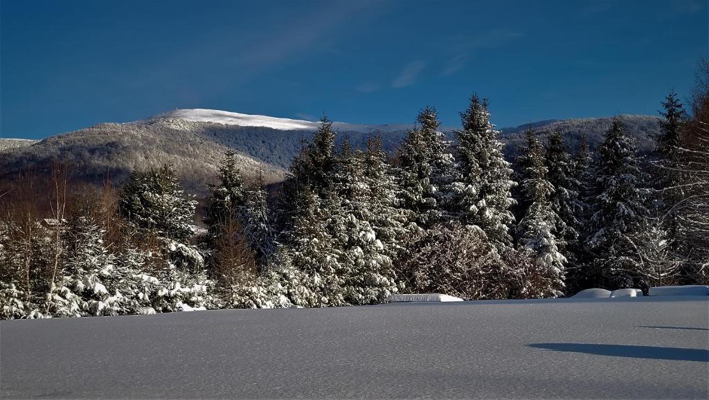 Wetlina Poza Trasą - 6