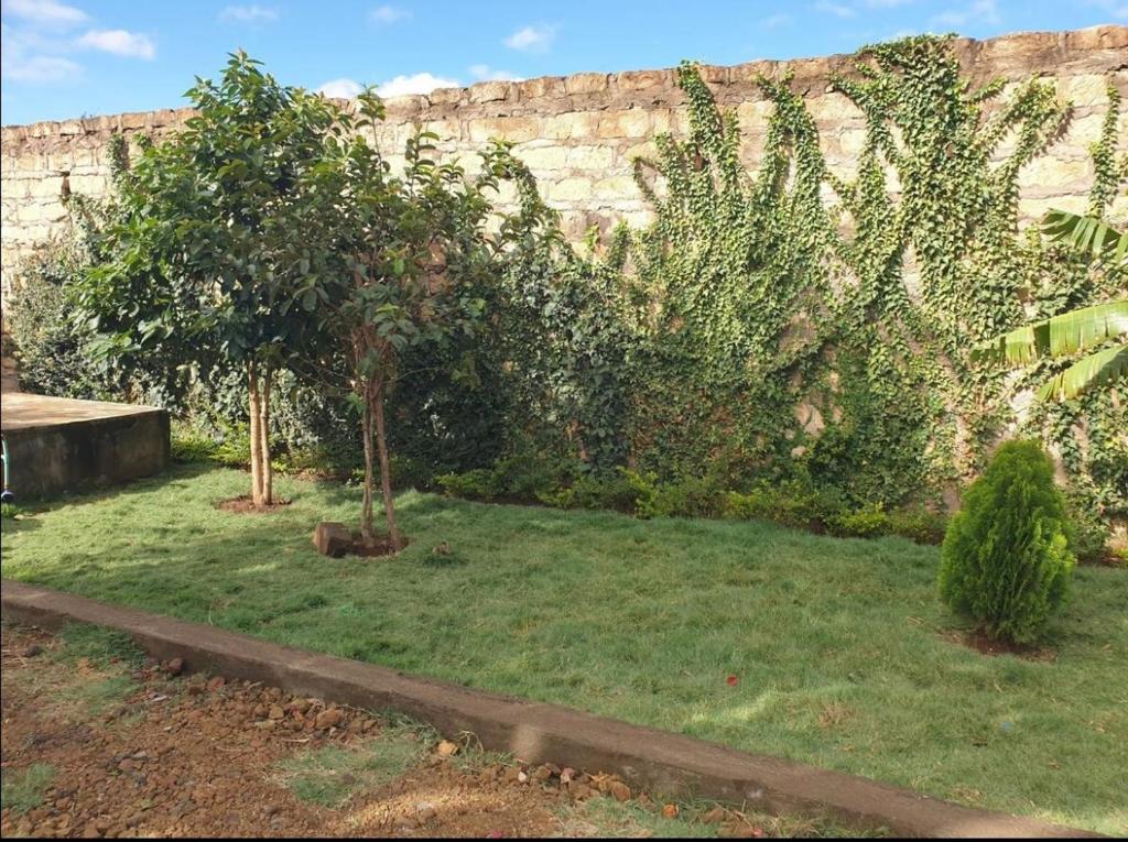 Nairagie Ngare的住宿－2 br own compound furnished hse，一座花园,两棵树和一堵墙