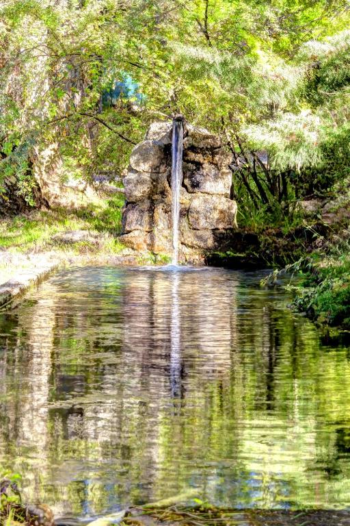 Apartamentos Turísticos Matagacha - 19