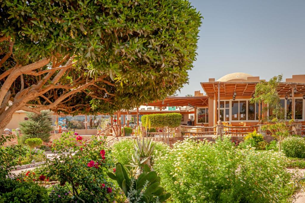 Zahrada ubytování Silver Beach Boutique Hotel